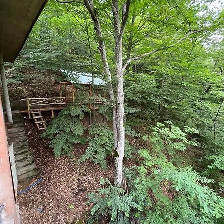 Tranquille Dilijan Villa Exterior photo
