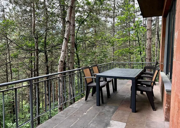 Tranquille Dilijan