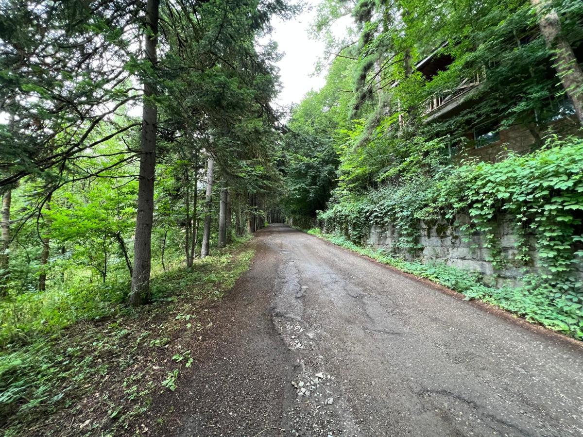Villa Tranquille Dilijan